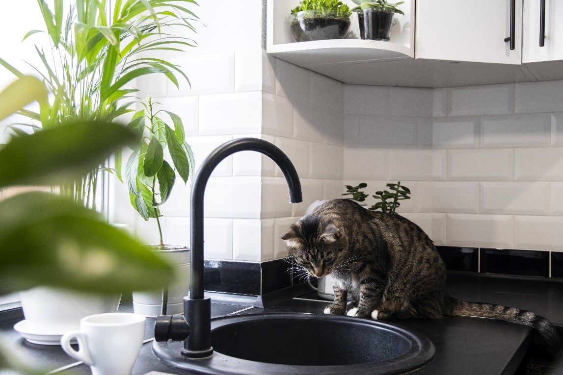 圖片來源：裝修佬